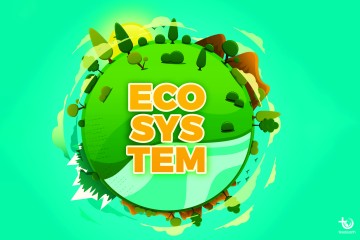 What Is an Ecosystem? Components and Its Definition